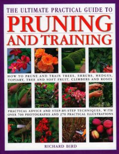 The illustrated practical encyclopedia of pruning, training & topiary : how to prune and train trees, shrubs, hedges, topiary, tree and soft fruit, climbers and roses  Cover Image