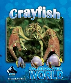 Crayfish  Cover Image