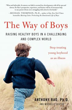 The way of boys : raising healthy boys in a challenging and complex world  Cover Image