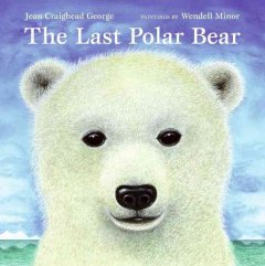 The last polar bear  Cover Image