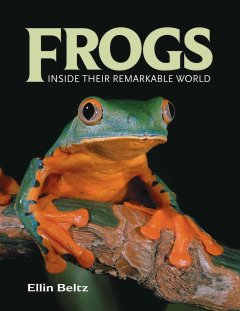 Frogs : inside their remarkable world  Cover Image