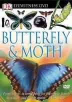 Butterfly & moth Cover Image