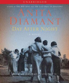 Day after night a novel  Cover Image