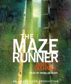 The maze runner Cover Image