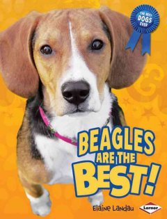 Beagles are the best!  Cover Image