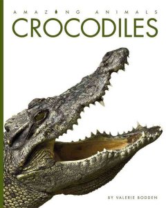 Crocodiles  Cover Image