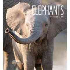 Elephants  Cover Image