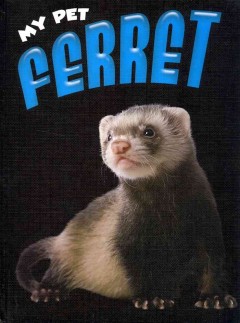 Ferret  Cover Image