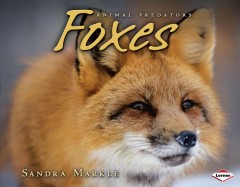 Foxes  Cover Image