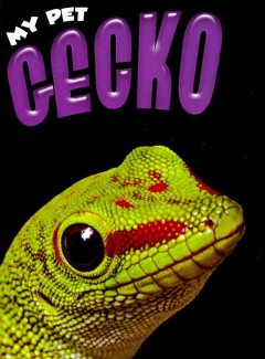 Gecko  Cover Image