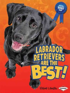Labrador retrievers are the best!  Cover Image