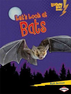 Let's look at bats  Cover Image