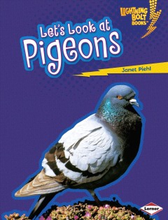 Let's look at pigeons   Cover Image