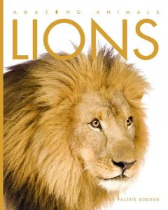 Lions  Cover Image