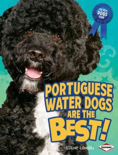 Portuguese water dogs are the best!  Cover Image