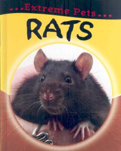 Rats  Cover Image