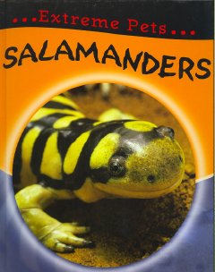 Salamanders  Cover Image