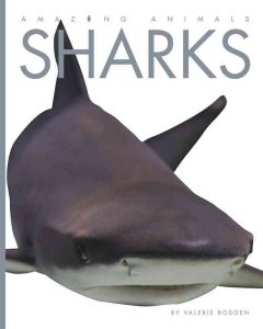 Sharks  Cover Image