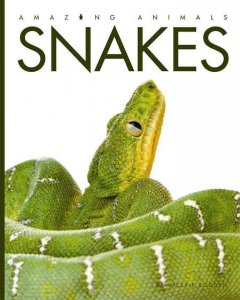 Snakes  Cover Image