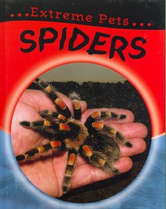 Spiders  Cover Image