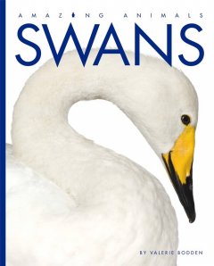 Swans  Cover Image