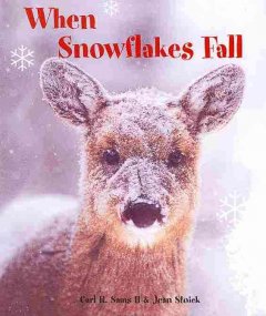 When snowflakes fall  Cover Image