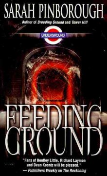 Feeding ground  Cover Image
