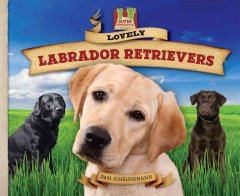Lovely Labrador retrievers  Cover Image
