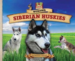 Strong Siberian huskies  Cover Image