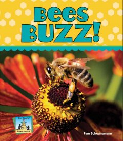 Bees buzz!  Cover Image