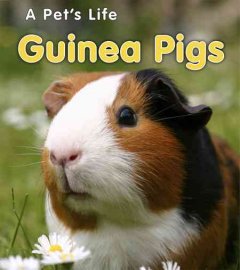 Guinea pigs  Cover Image