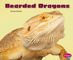 Bearded dragons  Cover Image