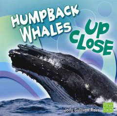 Humpback whales up close  Cover Image