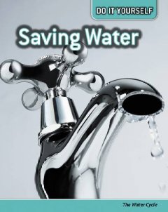 Saving water : the water cycle  Cover Image