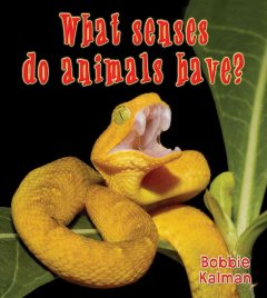 What senses do animals have?  Cover Image