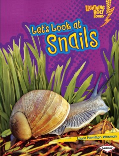 Let's Look at snails  Cover Image