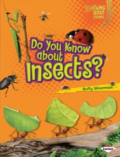 Do you know about insects?  Cover Image