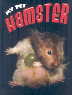 Hamster  Cover Image