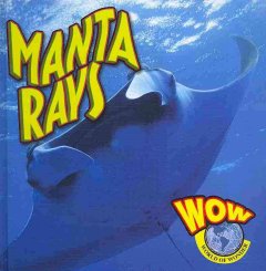 Manta rays  Cover Image
