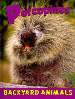 Porcupines  Cover Image