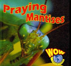 Praying mantises  Cover Image