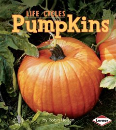 Pumpkins  Cover Image