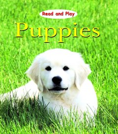Puppies  Cover Image