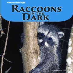 Raccoons in the dark  Cover Image
