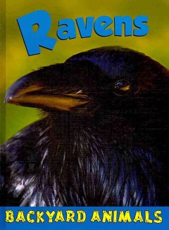 Ravens  Cover Image