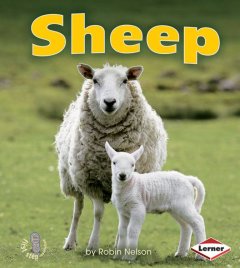 Sheep  Cover Image