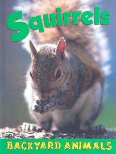 Squirrels  Cover Image