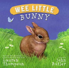 Wee little bunny  Cover Image