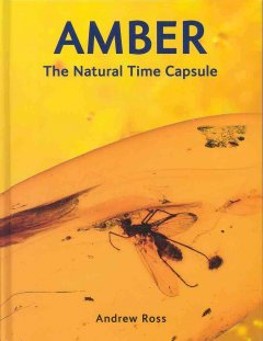 Amber : the natural time capsule  Cover Image