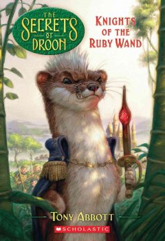 Knights of the ruby wand  Cover Image